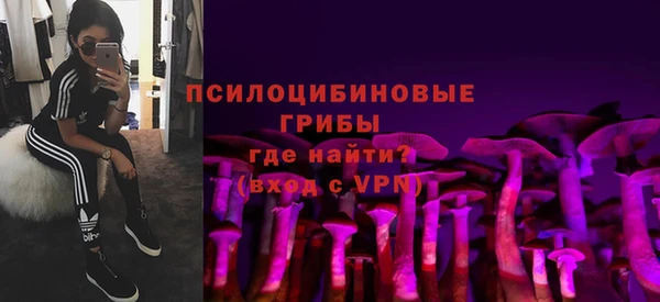 спиды Арсеньев