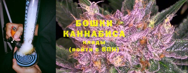 сатива Балабаново