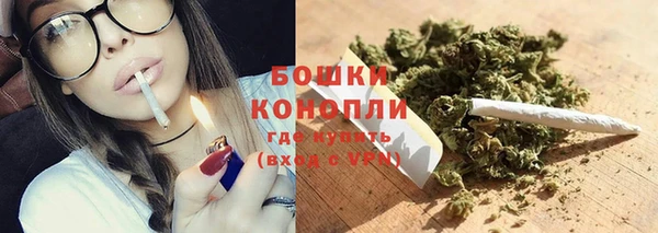 шишки Карталы