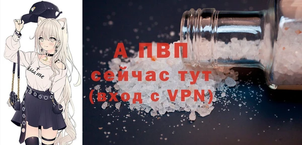 спиды Арсеньев