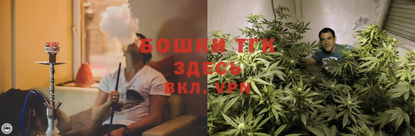 сатива Балабаново