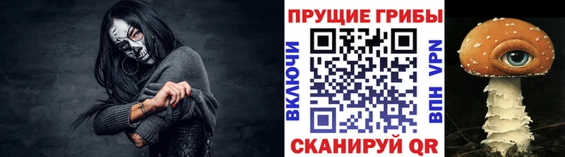 Псилоцибиновые грибы GOLDEN TEACHER  Всеволожск 