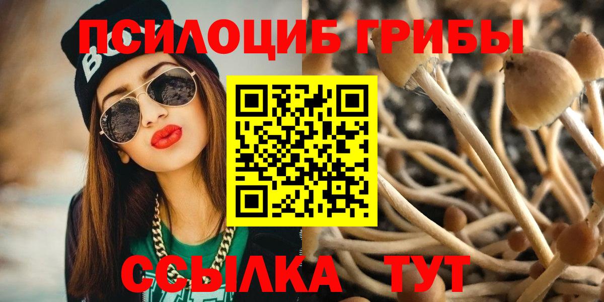 Псилоцибиновые грибы прущие грибы  Вход с VPN  Всеволожск 