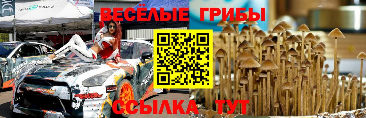 Галлюциногенные грибы прущие грибы Всеволожск