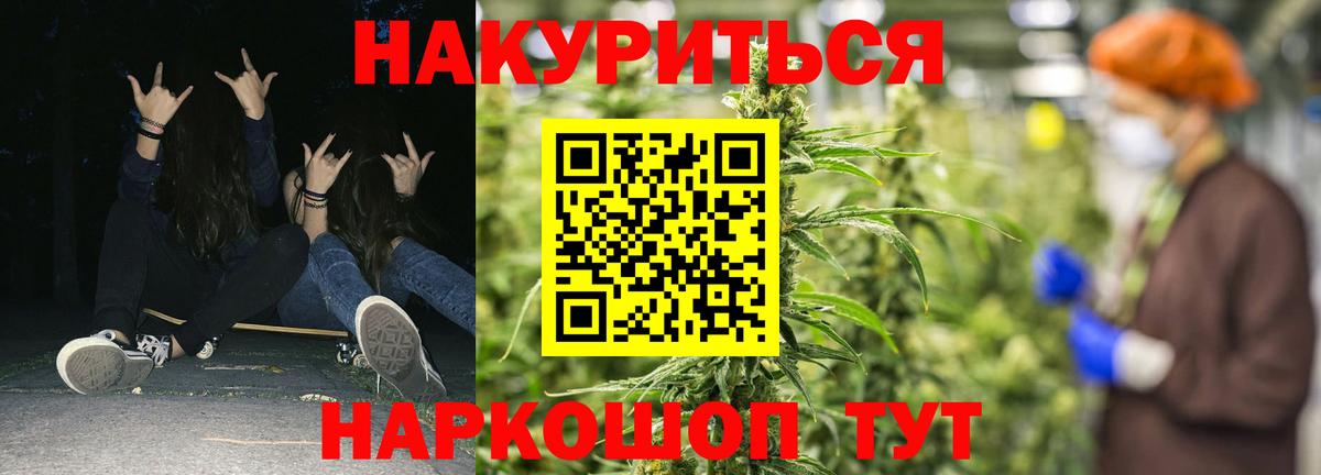 Канабис сатива Всеволожск